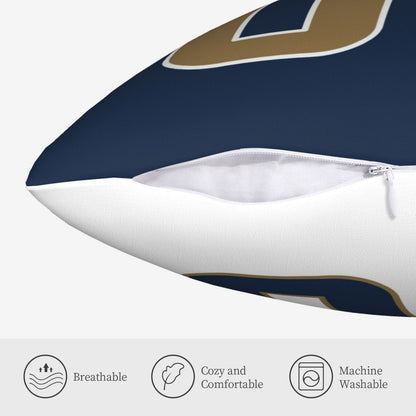 Set of 2 Custom Team Atlanta Falcons Black White Decorative Throw Pillow Case Print Personalized Football Style Fans Name & Number Birthday Gift